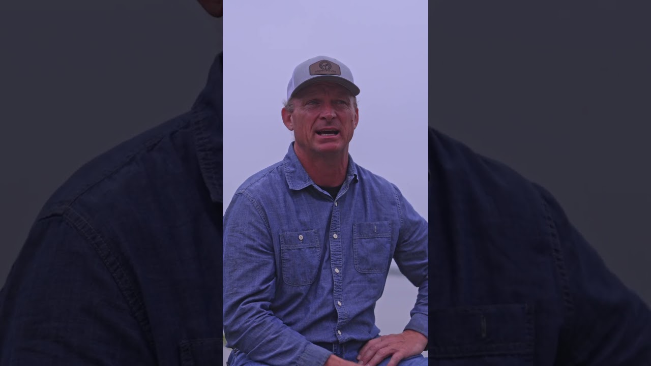 Why is Florida so polluted?