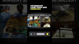 Vet Care Presentation By Dr. Boorstein~Part 13 Of 59