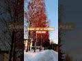 Sunny day in Tampere, Finland #winter #sunnyday #shorts #youtubeshorts #stayjustinbieber