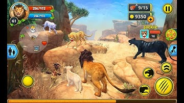 ► The King Of Jungle Wild The Cheetah Online Simulator Iphone Gameplay