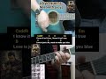 Love Hurts - Nazareth (1974) acoustic guitar tutorial
