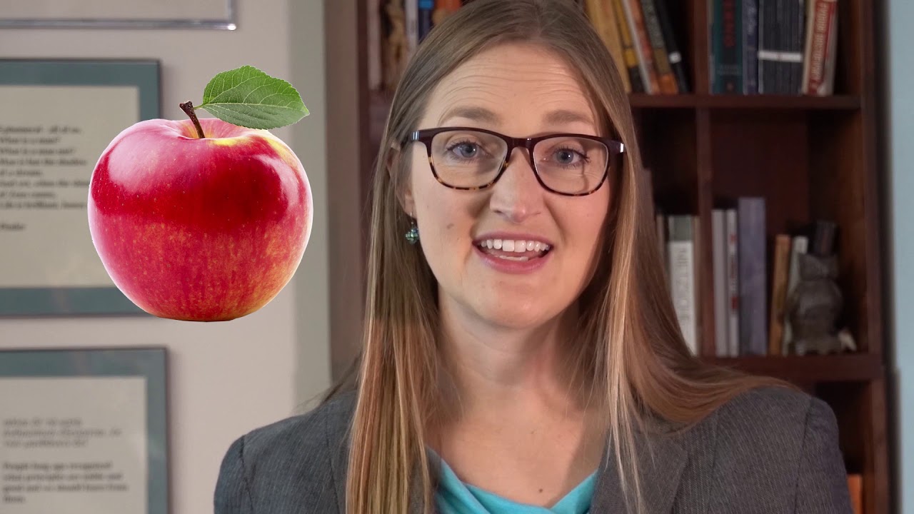 Loveland Classical Schools Information Video Great Works Literacy 4