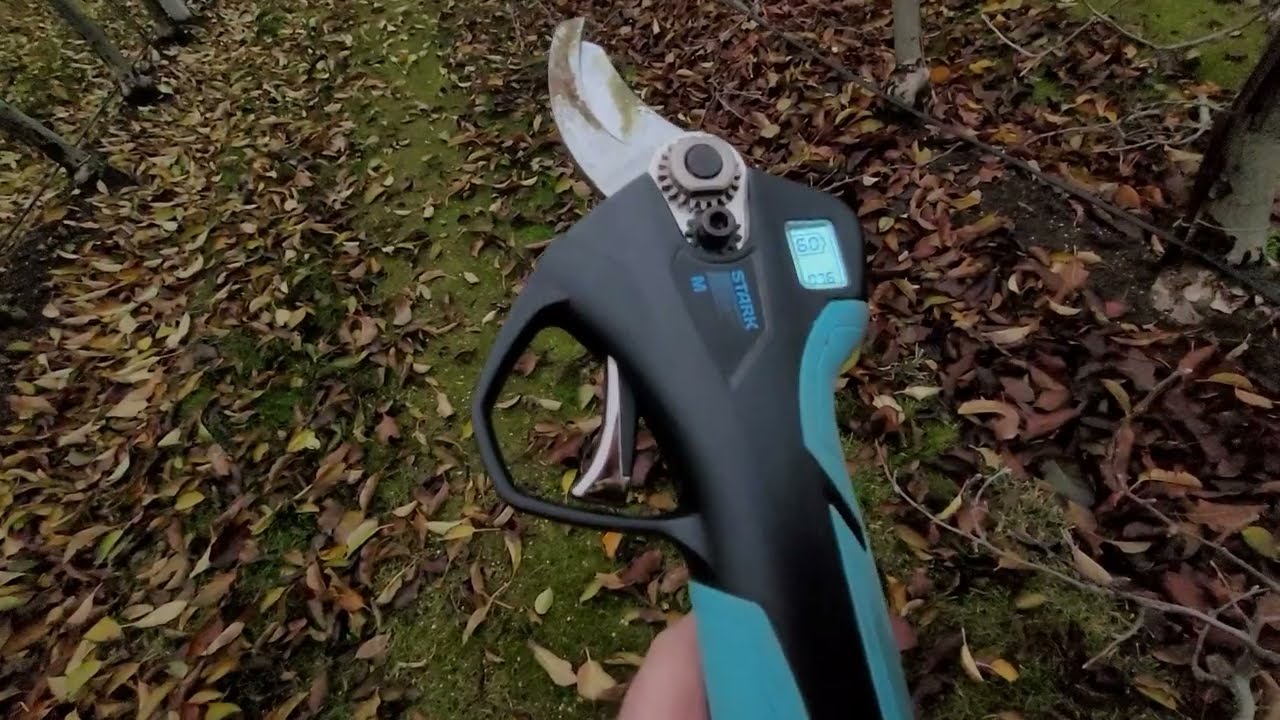 80 komunikat sadowniczy z dnia 30.11.2024