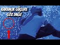 TARİHİN EN ÇOK MESAJ İÇEREN VIDEOSU 'PART 2'