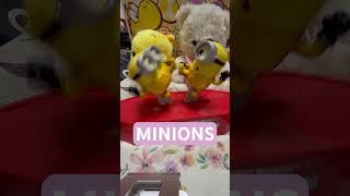Fighting Minions