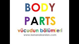 Vücudun Bölümleri Ingilizce Body Parts In English
