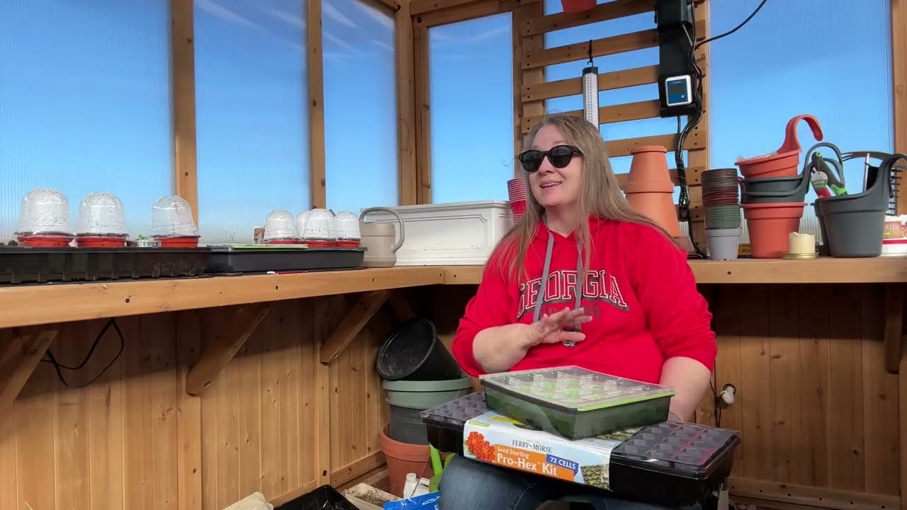 How I Am Starting My Strawberries 