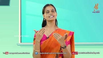 KITE VICTERS STD 08 Biology Class 06 (First Bell-ഫസ്റ്റ് ബെല്‍)