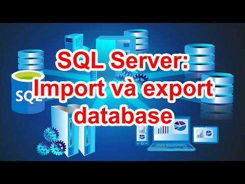 SQL Server - Cách import and export database