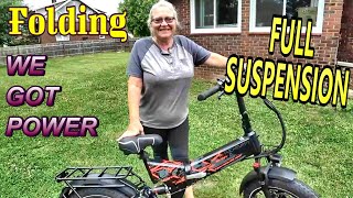 Puckipuppy Hummingbird Funny Name Serious Ebike