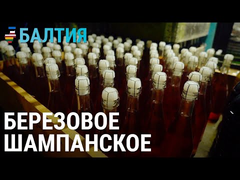Вино из одуванчиков и шампанское из березового сока | БАЛТИЯ
