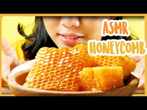 ASMR HONEYCOMB ( EATING SOUND ) !!! No Talking ASMR Indonesia | SARANG MADU