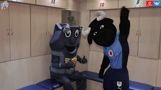 Vodacom Blue Bulls Casual Day screenshot 3