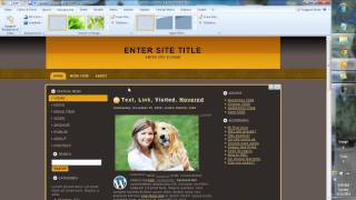 Artisteer 3.0 Web Design Tutorial & Overview WordPress, Joomla, Drupal