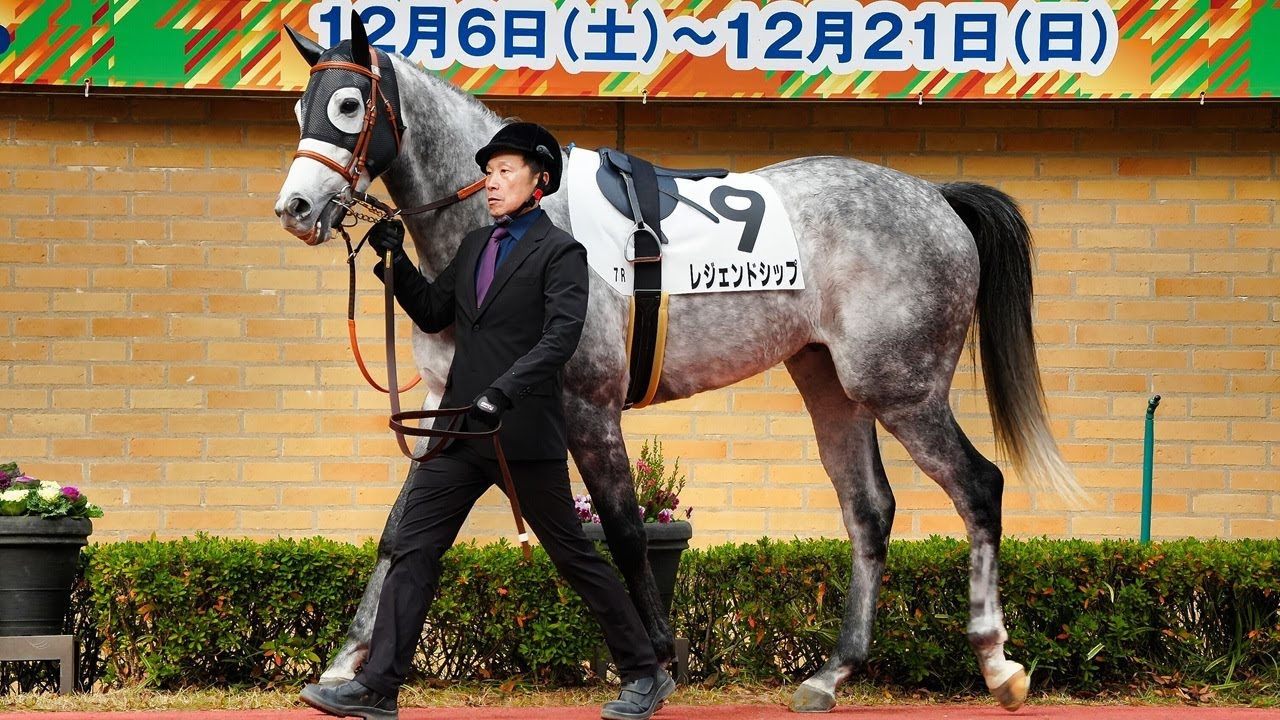 レジェンドシップ 2025/12/13 3歳以上1勝クラス パドック映像