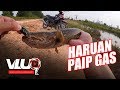 Fishing Vluq - Haruan (Snakehead) - Pipe Gas