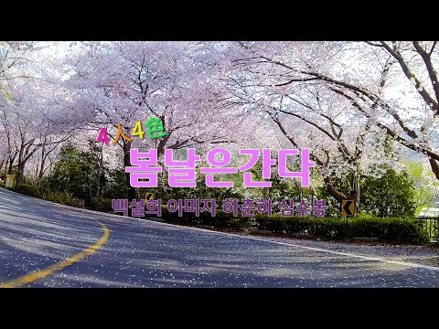 봄날은간다 4인4색 백설희 이미자 하춘화 심수봉 