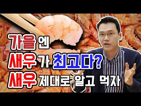 Misunderstanding and Truth about Shrimp! Is shrimp tincture and diet food?