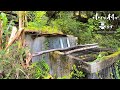山奥の貯水槽を綺麗にして家に水を引きました#71