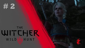 The Witcher 3 Wild Hunt | New Game  Playthrough | Part 2