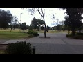 Chasing the pigeon in Quito park