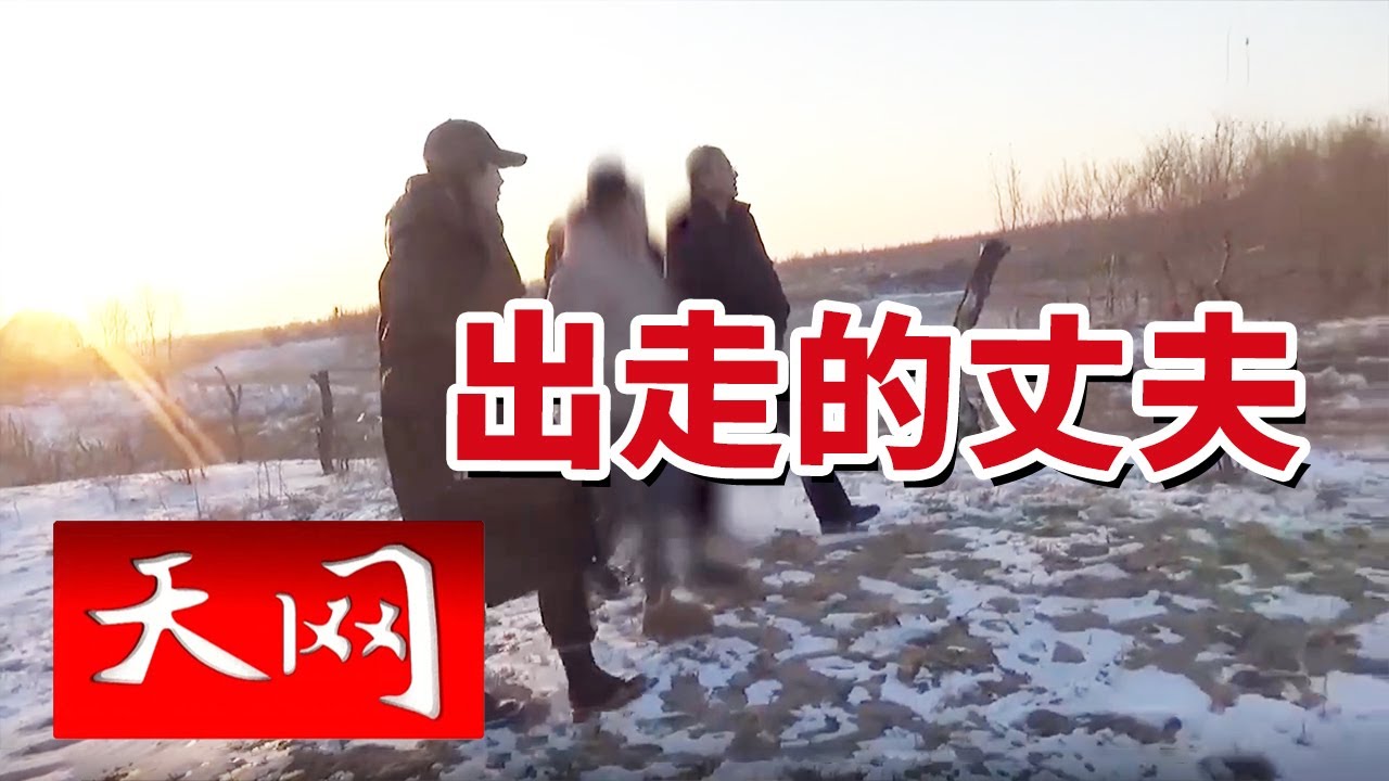 《天网》高坡血案：13年前的一段往事被揭开！20250422