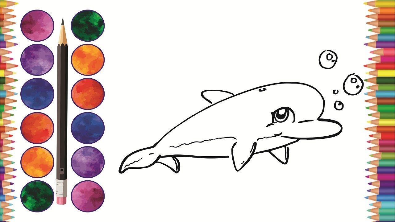 Wie Zeichnet Man Ein Delphin Come Disegnare Un Delfino Comment Dessiner Un Dauphin