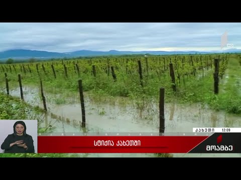 სტიქია კახეთში