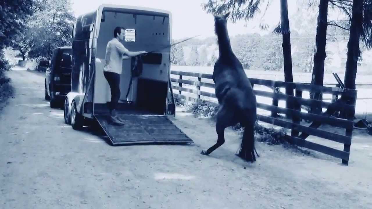 Luuk Teunissen Verladetraining