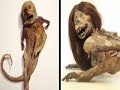 Morskie i rechnye chudovischa Podborka world79 spcs bio