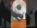 Neon Pill: Vinyl Unboxing