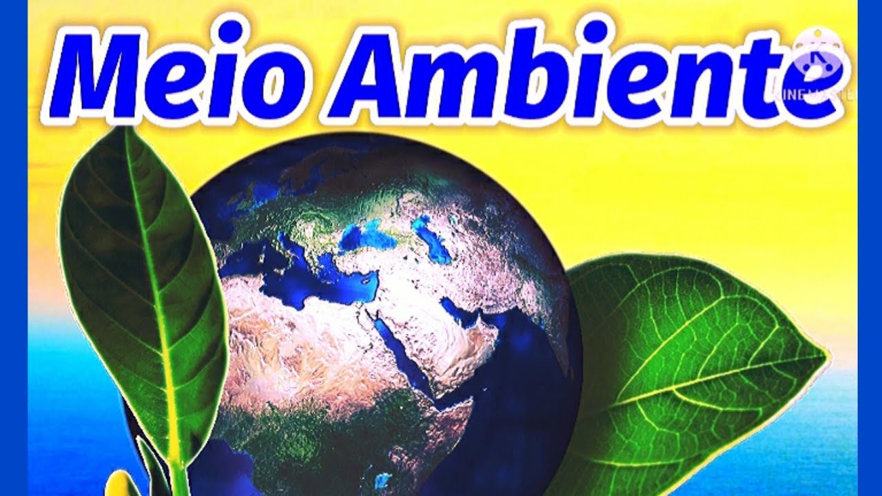 O Meio Ambiente Engloba Em Seus Estudos Gerais - FDPLEARN