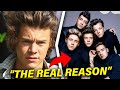 The Real Reason Why One Direction Broke Up!