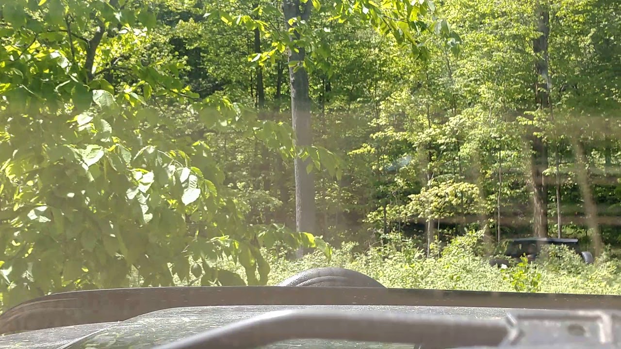 Wild Rose trail at Camp Sinawa, WI. Near Valders, WI. YouTube