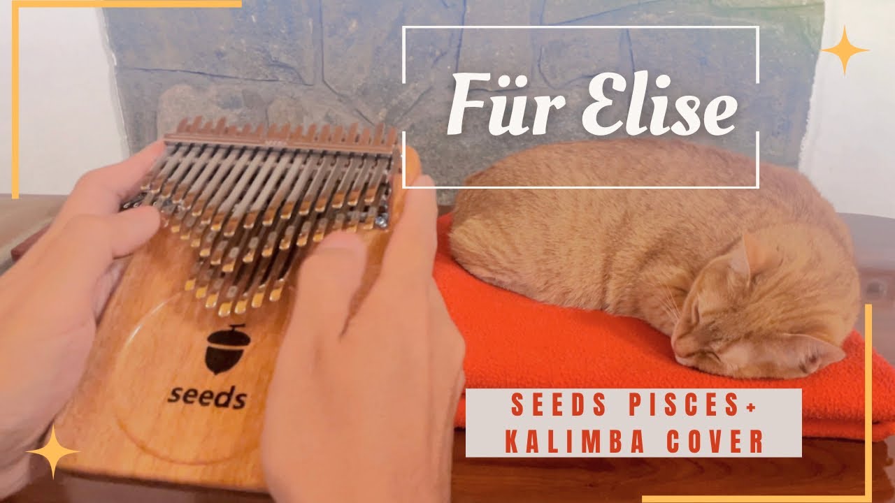 Für Elise (Beethoven) | Seeds Pisces Plus 41-Key & Pisces 34-Key Kalimba Cover