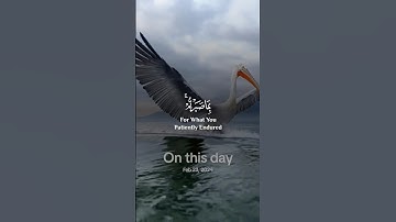 سَلَامٌ عَلَيْكُم بِمَا صَبَرْتُمْ ۚ فَنِعْمَ عُقْبَى الدَّارِ﴾[ سورة الرعد: 24]