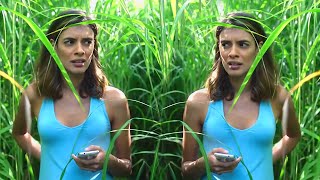 In the Tall Grass (2019) Film Explained in Hindi/Urdu Summarized हिन्दी
