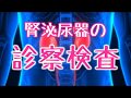 【看護学校講義】腎泌尿器2　診察