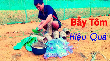 Cách Bẫy Tôm Hiệu Quả Nhất | Đi Đổ Đó Và Cái Kết Bất Ngờ | NGOC HUY OFFICIAL