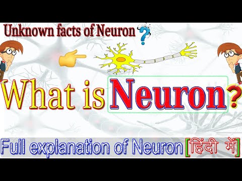 👉What is Neuron? 🔥|Full explanation of Neuron with Simple Definition| 🔥Importance of Neuron?