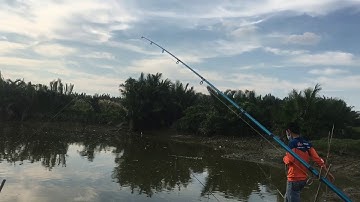 Câu cá tại cầu cần giuộc - Long An