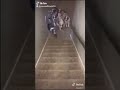 اضحك من قلبك احمد موسى