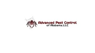 Pest Control Gulf Shores AL