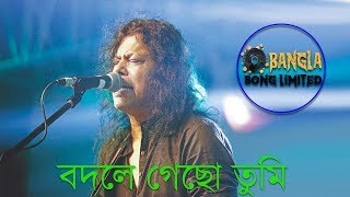 বদলে গেছো তুমি বদলে গেছে মন নেই তুমি আগের মতন || Lyric By Nogor Baul James || Bangla Song limited