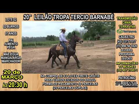LOTE 02 - 20° LEILÃO TROPA TERCIO BARNABÉ