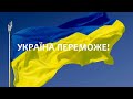 Белые грибы полянами и другое разнообразие грибов в осеннем послеобеденном лесу, в октябре 2020 года