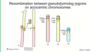 Celebrity Jennifer Gerton - Session 5: Maintenance of Genome Stability Wealth