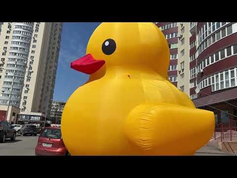 Надувна декоративна фігура качка 5 м арт інсталяція для торгового центру басейну заходів рекламна конструкція, видео 1