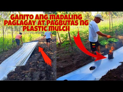 Video: Paano Maghanda Ng Plastik