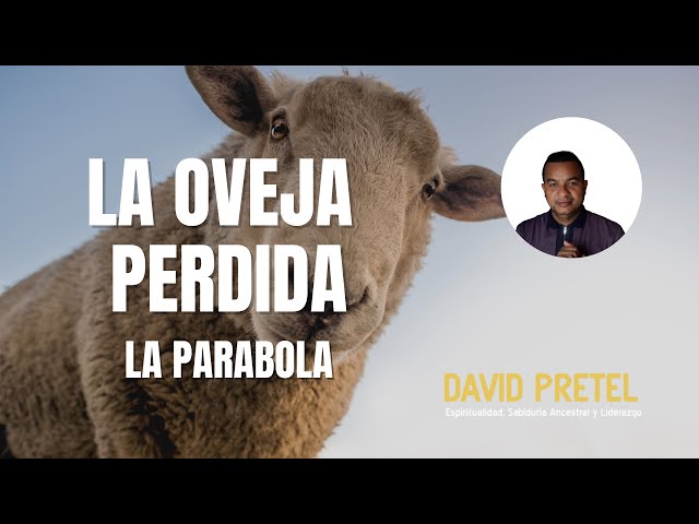 Parábola de la Oveja Perdida / El Reino de los Cielos/: Nuevo testamento & Kabbalah.